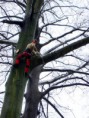 /album/bomen-snoeien/fotoos-boomrooien-boy-018-jpg/